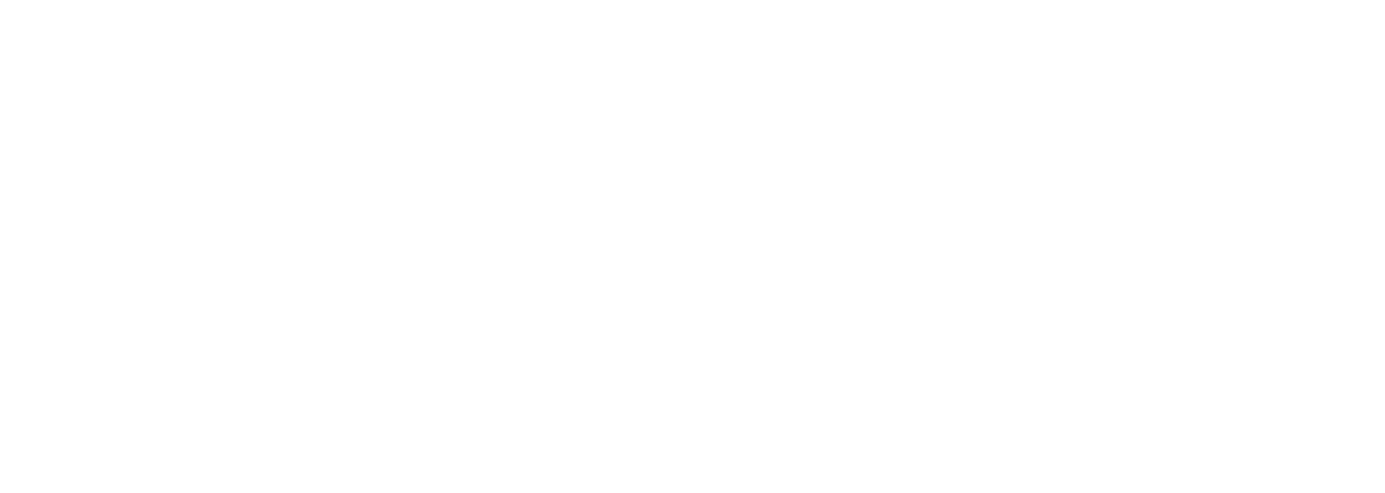 Biznesu company logo